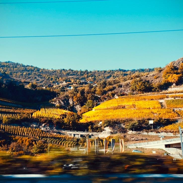 Family terraces and cafés for calm evenings in Madrid